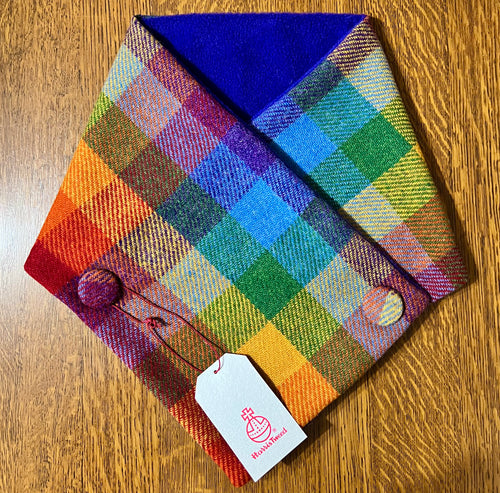 Rainbow neck warmer with purple fleece lining